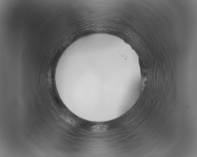 X0000075370700200610061813