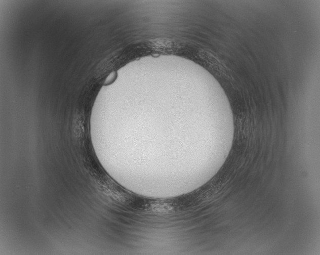 X0000075370702200610061813