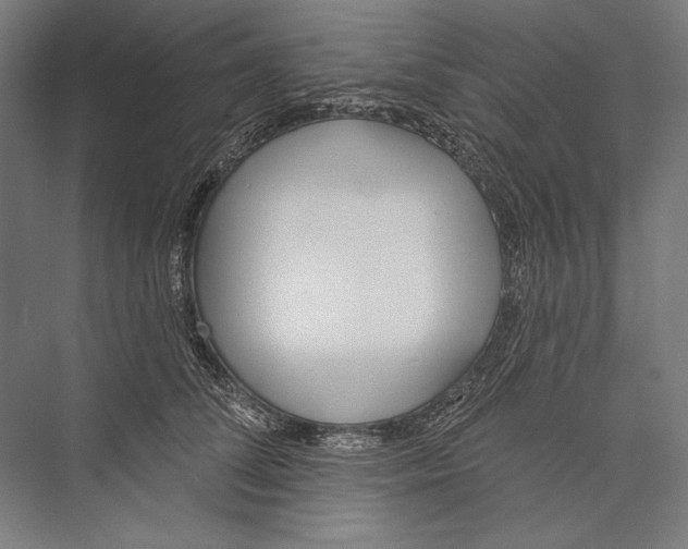 X0000075370708200610061813