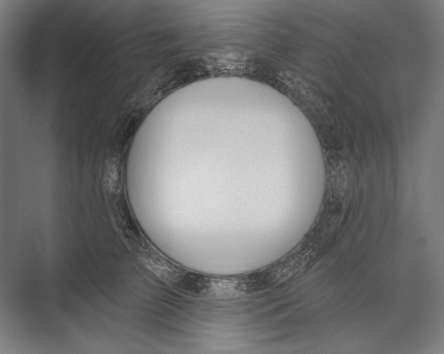 X0000075370709200610061813