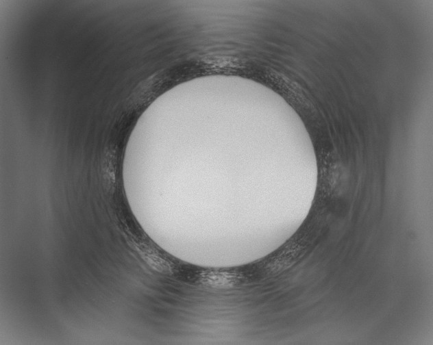 X0000075370710200610061813