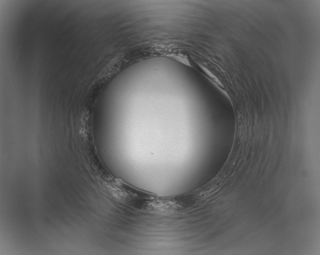 X0000075370712200610061813