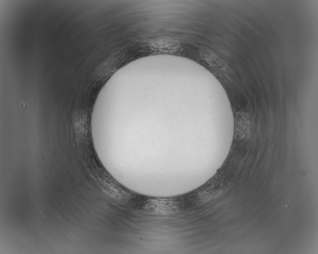 X0000075370713200610061813
