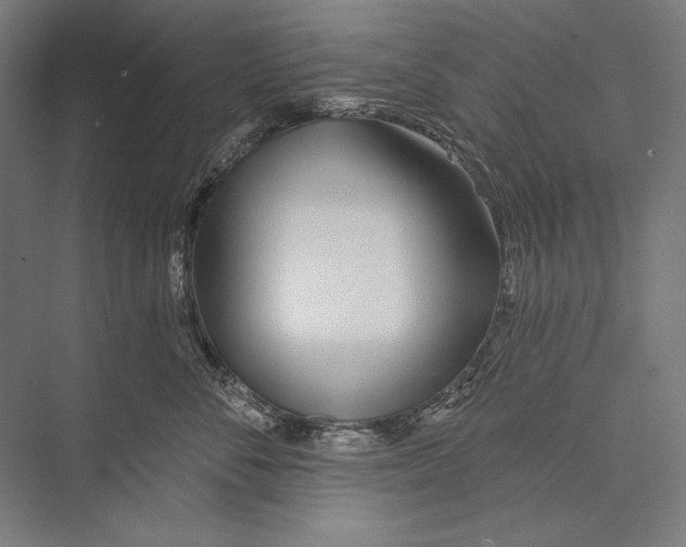 X0000075370716200610061813