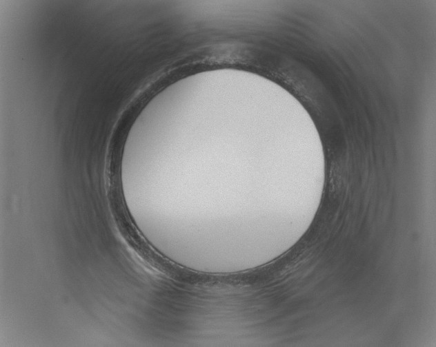 X0000075370722200610061812