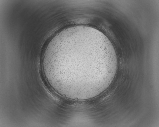 X0000075370725200610061812