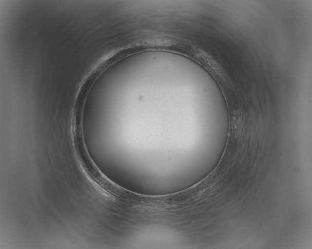 X0000075370726200610061812