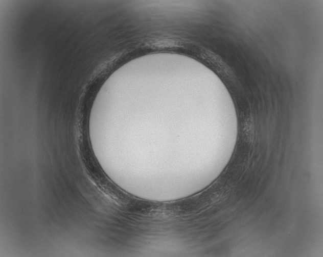 X0000075370732200610061812