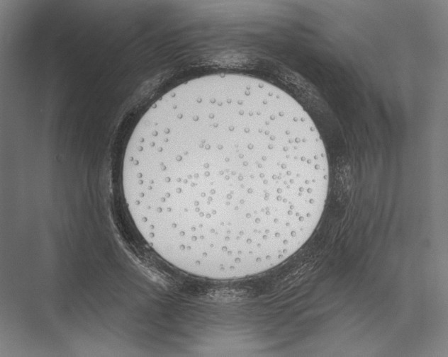 X0000075370734200610061812