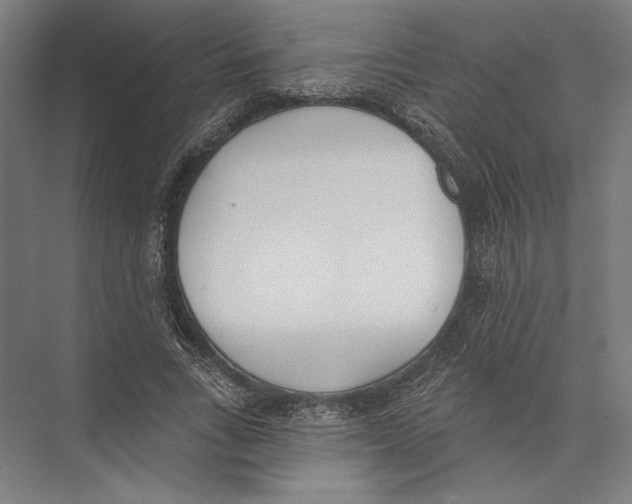 X0000075370735200610061812