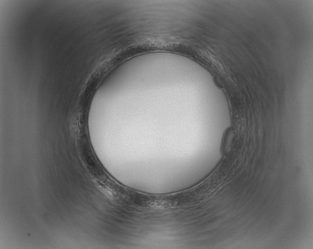 X0000075370736200610061812