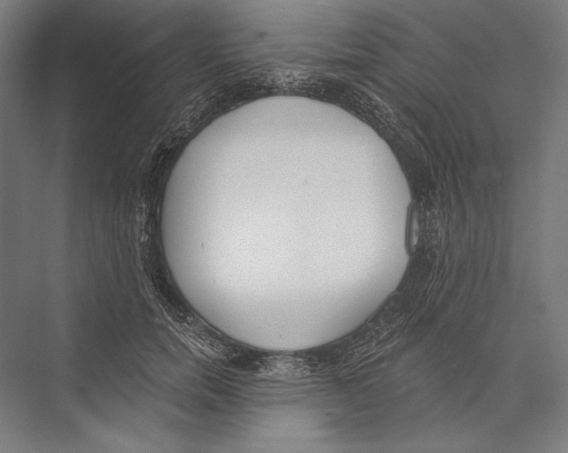 X0000075370750200610061812