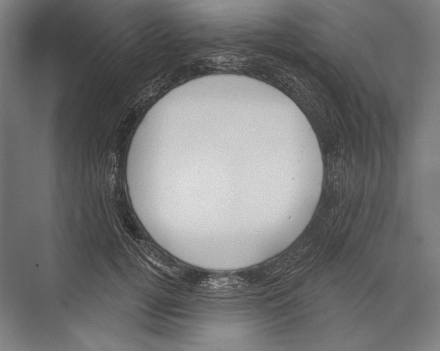 X0000075370752200610061812