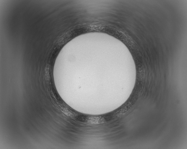 X0000075370757200610061812
