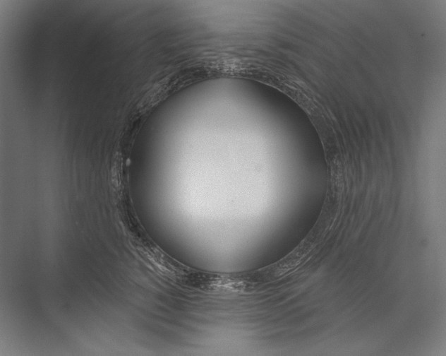 X0000075370760200610061812