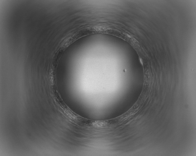 X0000075370762200610061812