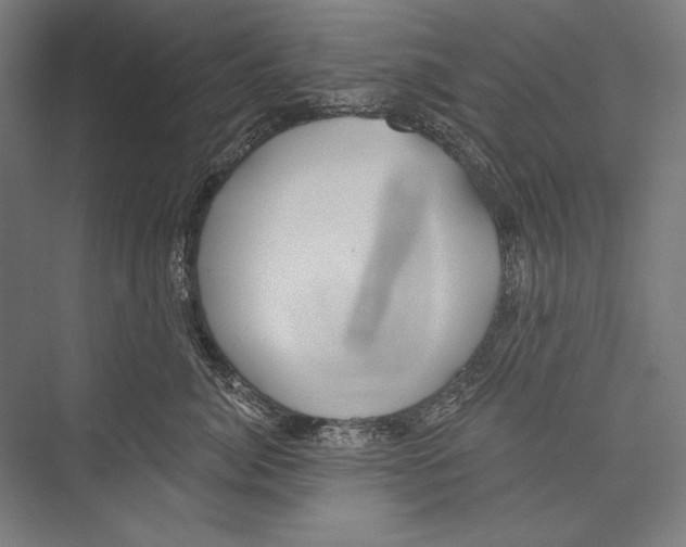 X0000075370764200610061812