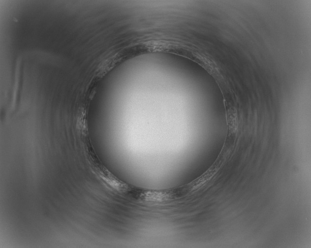 X0000075370766200610061812