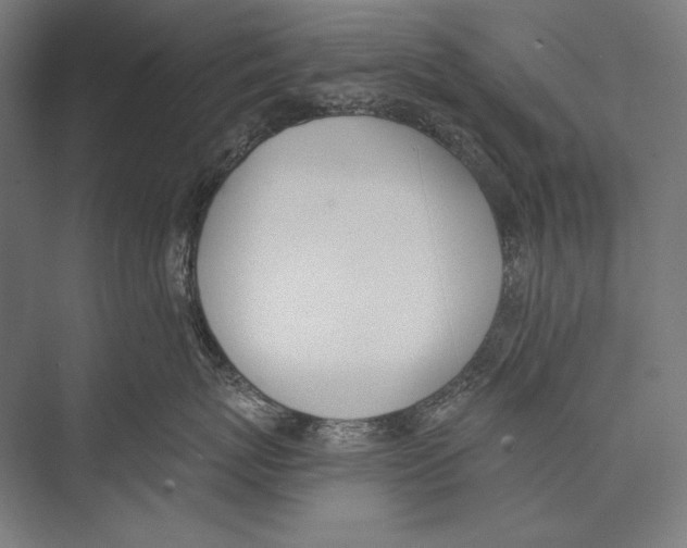 X0000075370767200610061812
