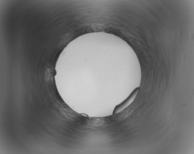 X0000075370768200610061813