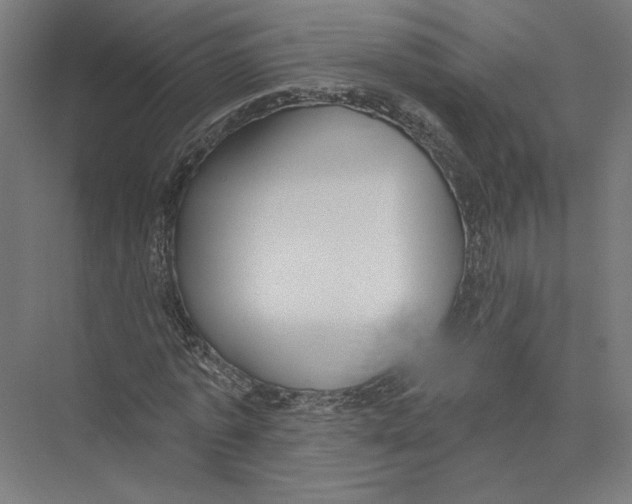 X0000075370773200610061812