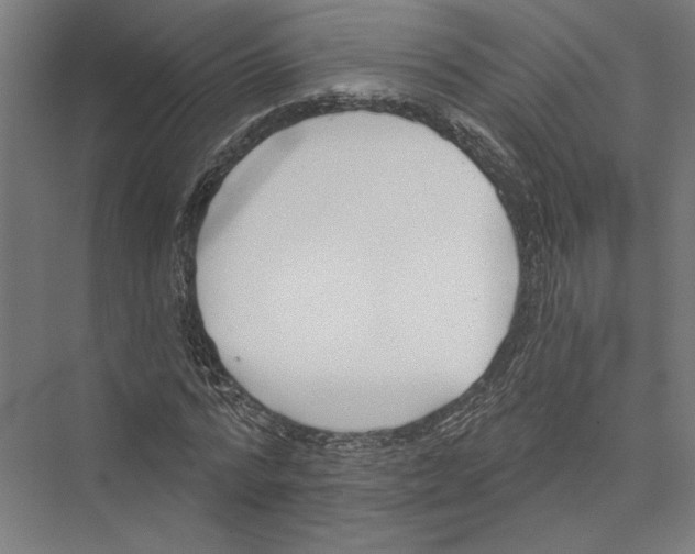 X0000075370776200610061812