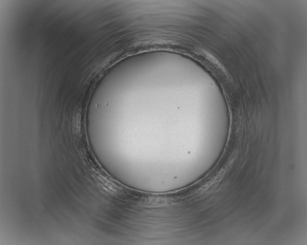 X0000075370777200610061812