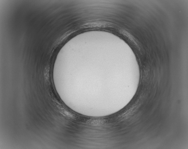 X0000075370778200610061812