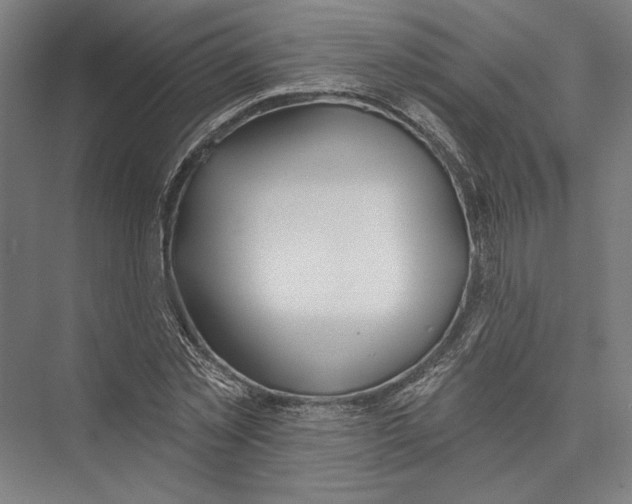 X0000075370781200610061811