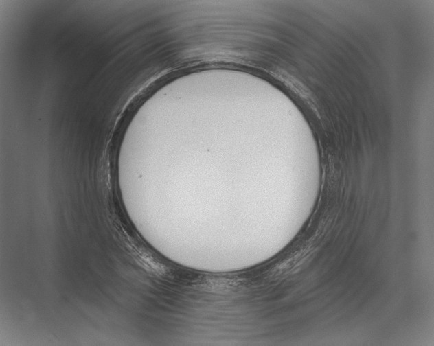 X0000075370782200610061811
