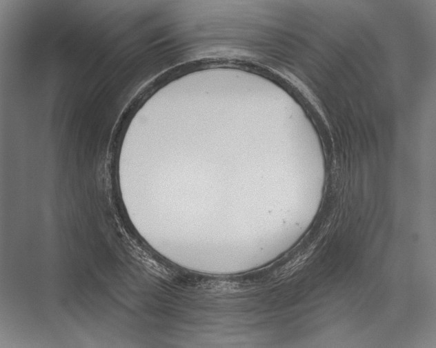 X0000075370783200610061811