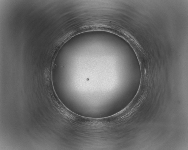 X0000075370785200610061811