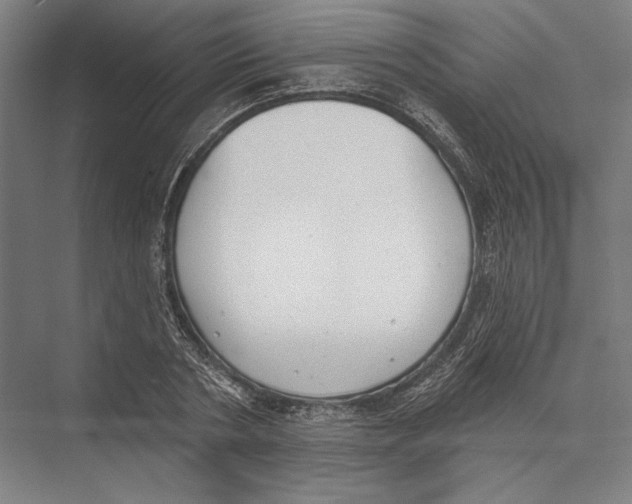 X0000075370786200610061811