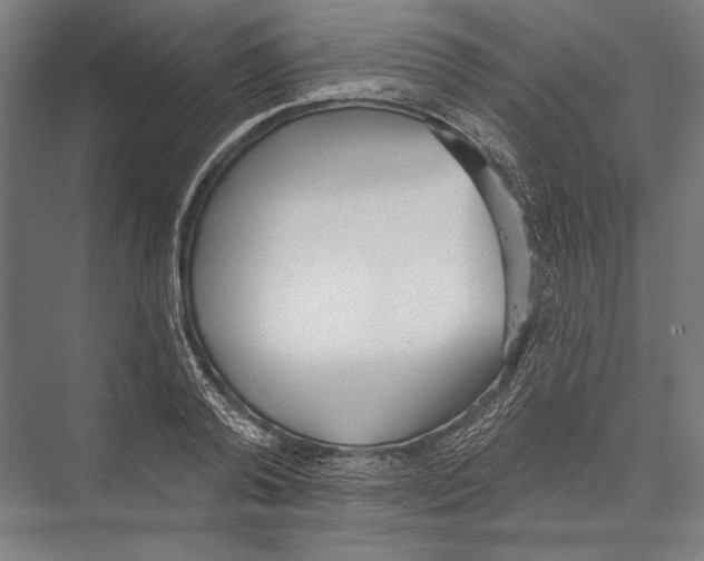 X0000075370792200610061811