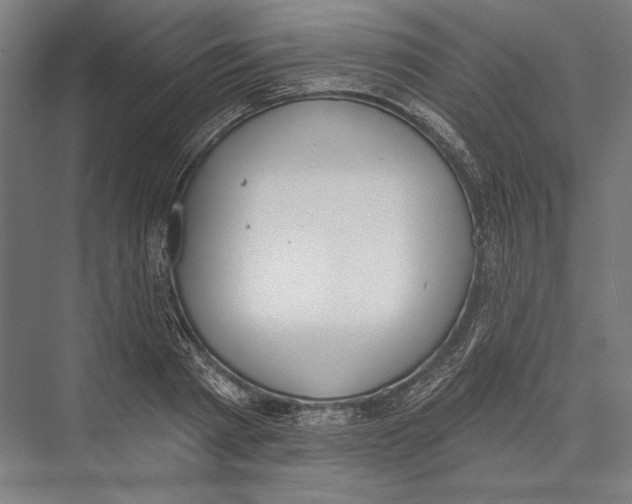 X0000075370793200610061811