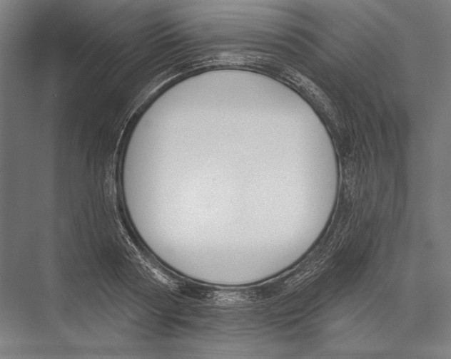 X0000075370794200610061811