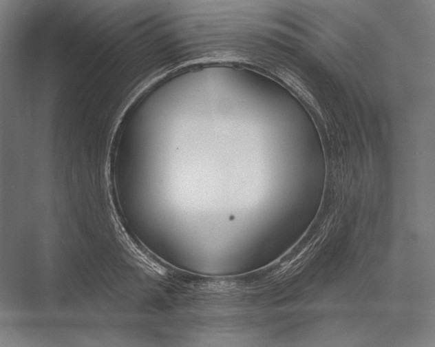 X0000075370797200610061811