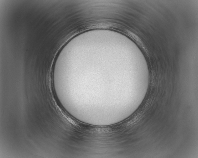 X0000075370802200610061811