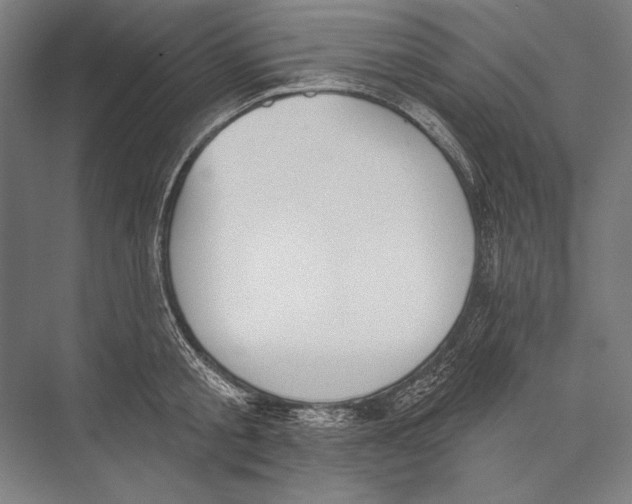 X0000075370805200610061811