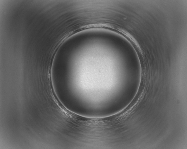 X0000075370809200610061811