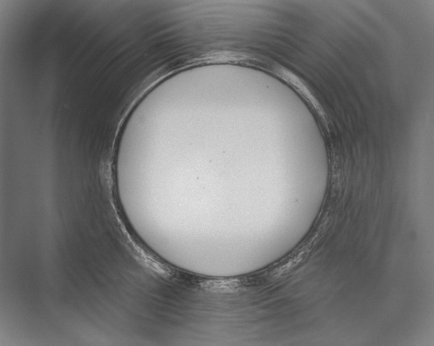 X0000075370810200610061811