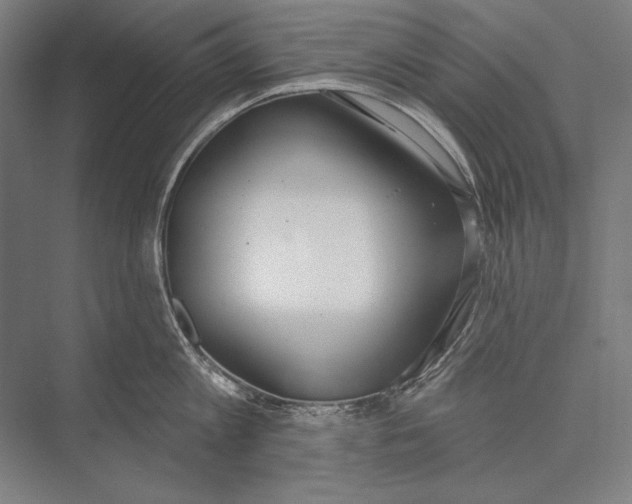 X0000075370813200610061811
