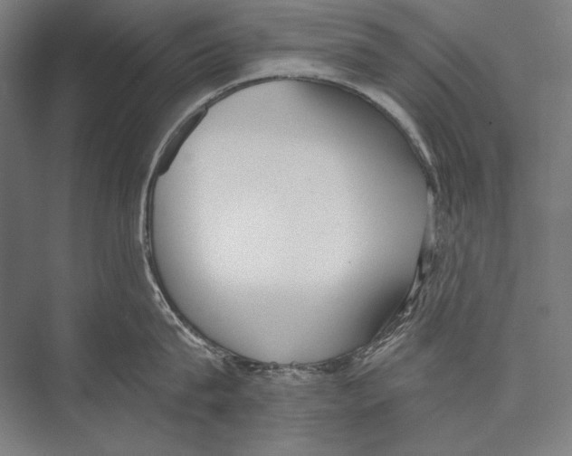 X0000075370815200610061811