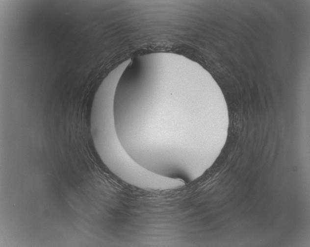 X0000075370818200610061810