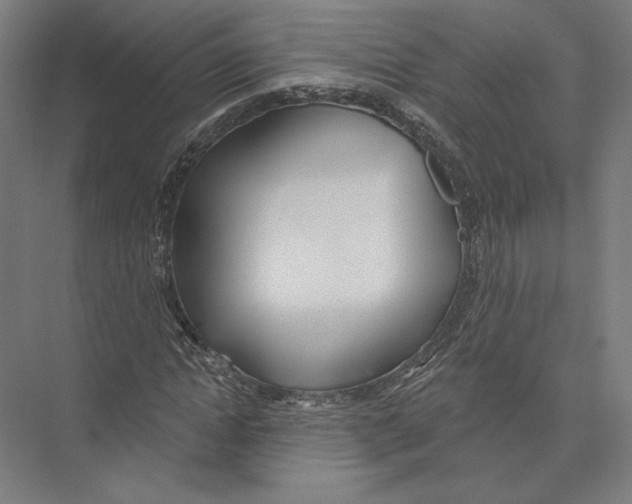 X0000075370822200610061810