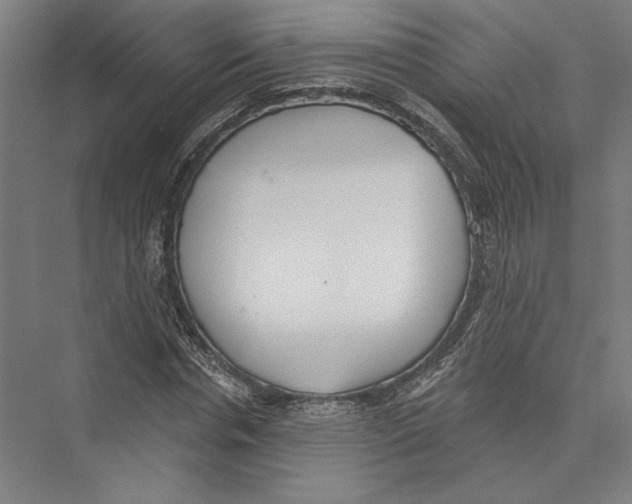 X0000075370826200610061810