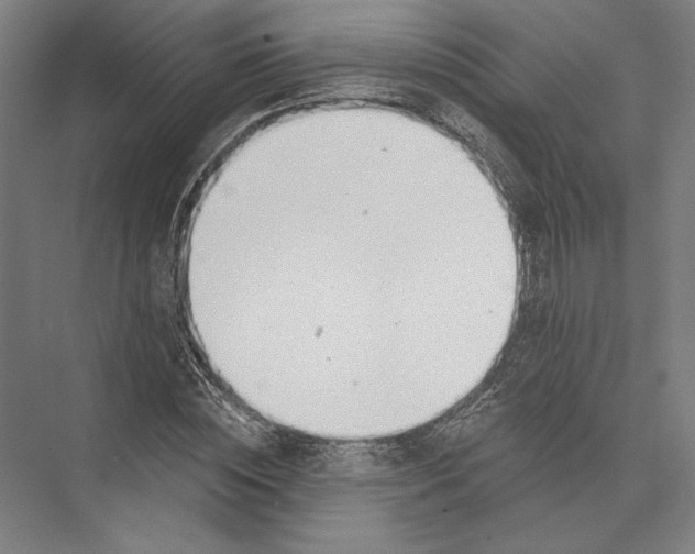 X0000075370828200610061810