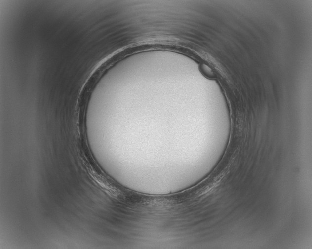 X0000075370830200610061810