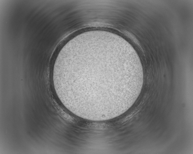 X0000075370831200610061810