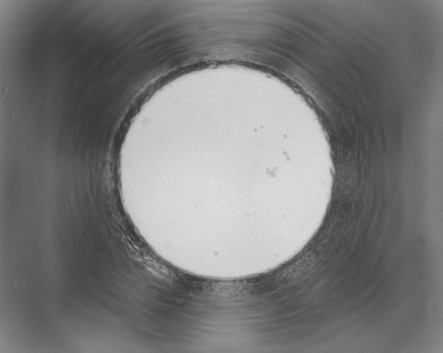 X0000075370832200610061810